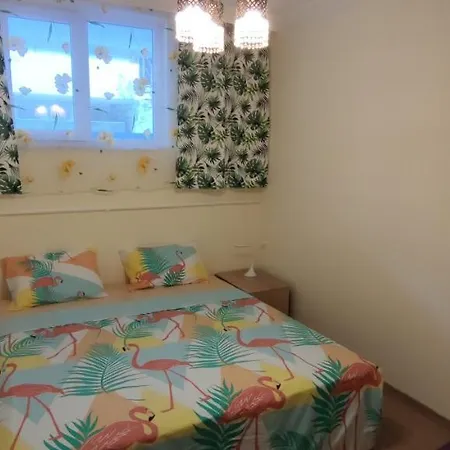Apartment Family 